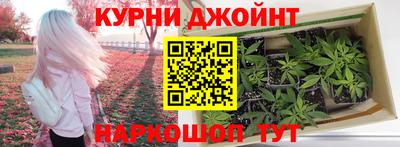 прущая мука Кингисепп