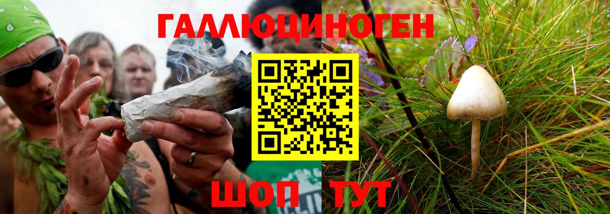 Галлюциногенные грибы MAGIC MUSHROOMS  Вход с VPN  Коряжма 